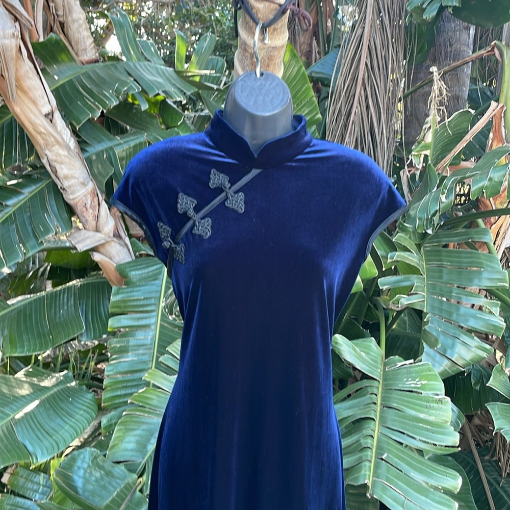 Vintage velvet dress